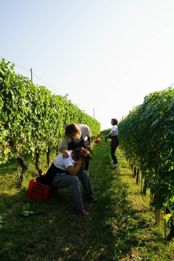 Agriturismo Il Gioco Dell'Oca Barolo Luaran gambar