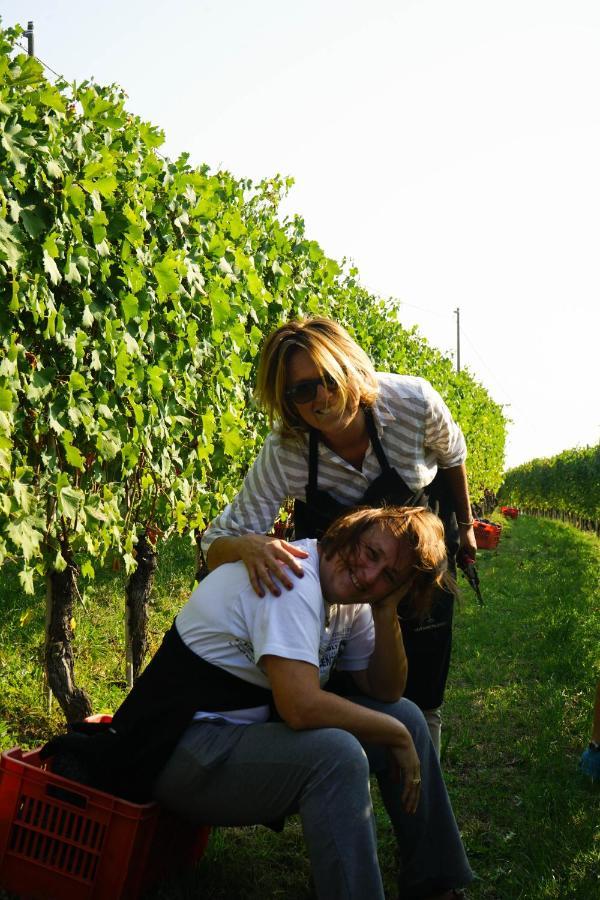 Agriturismo Il Gioco Dell'Oca Barolo Luaran gambar
