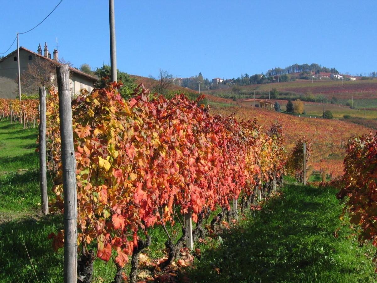 Agriturismo Il Gioco Dell'Oca Barolo Luaran gambar