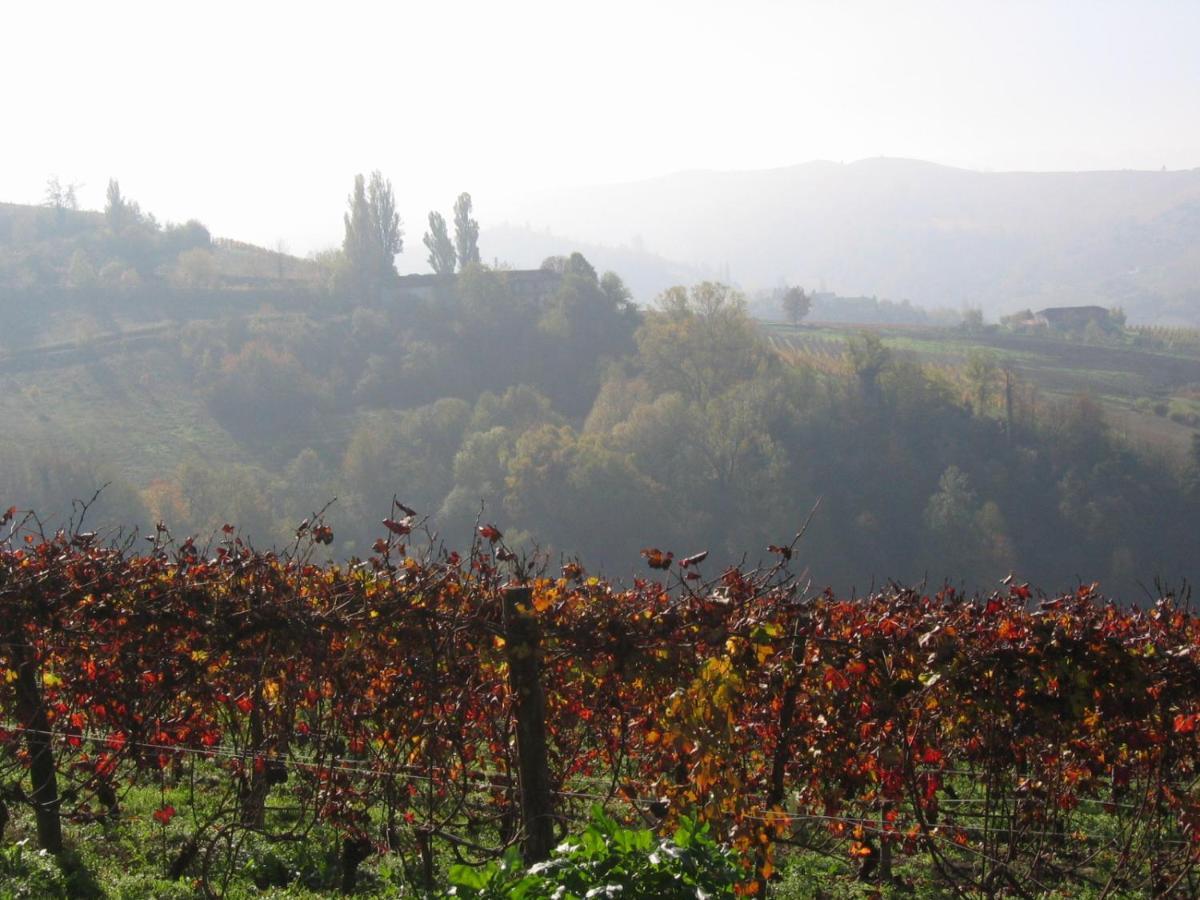 Agriturismo Il Gioco Dell'Oca Barolo Luaran gambar