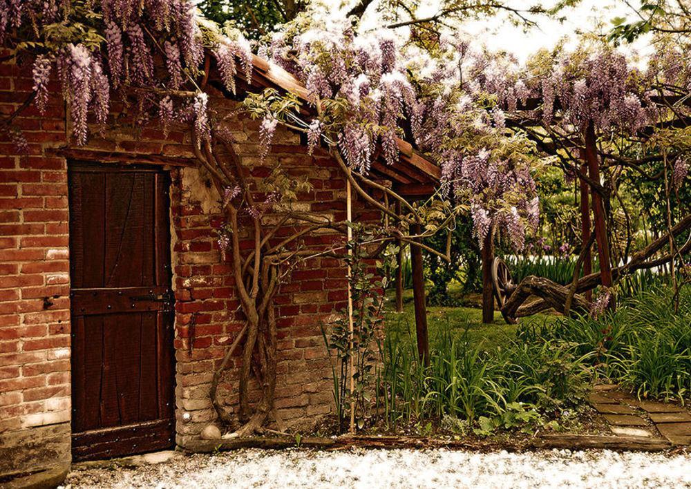 Agriturismo Il Gioco Dell'Oca Barolo Luaran gambar